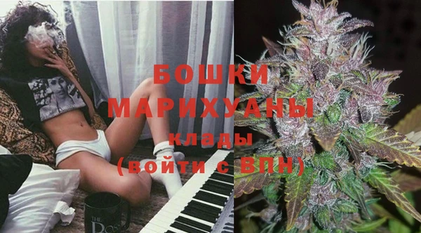 герыч Мегион