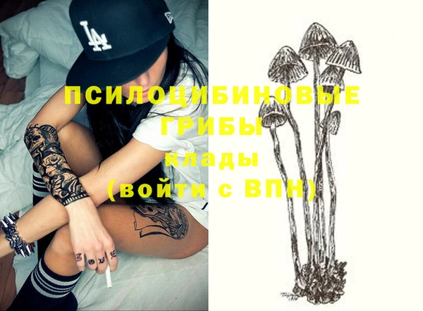 мет Магас