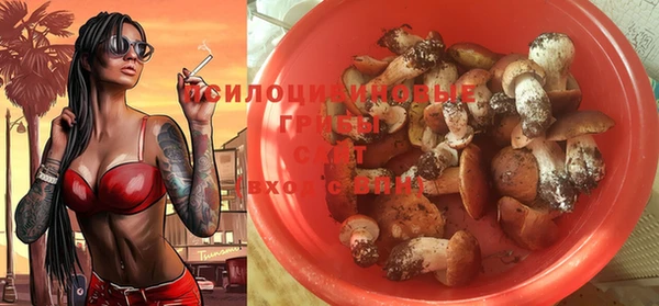 мет Магас