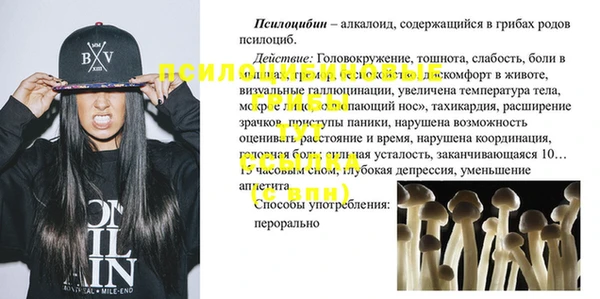 ПСИЛОЦИБИНОВЫЕ ГРИБЫ Медвежьегорск
