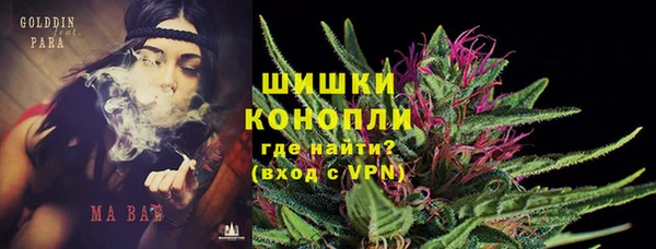 дживик Майский