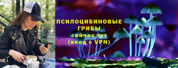 ПСИЛОЦИБИНОВЫЕ ГРИБЫ Медвежьегорск