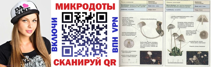 Галлюциногенные грибы ЛСД  Ленинградская 